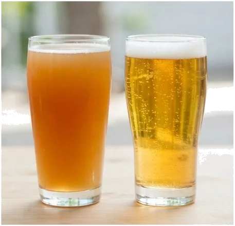 Ale vs Lager: cuál es la diferencia y qué estilos pertenecen a cada familia