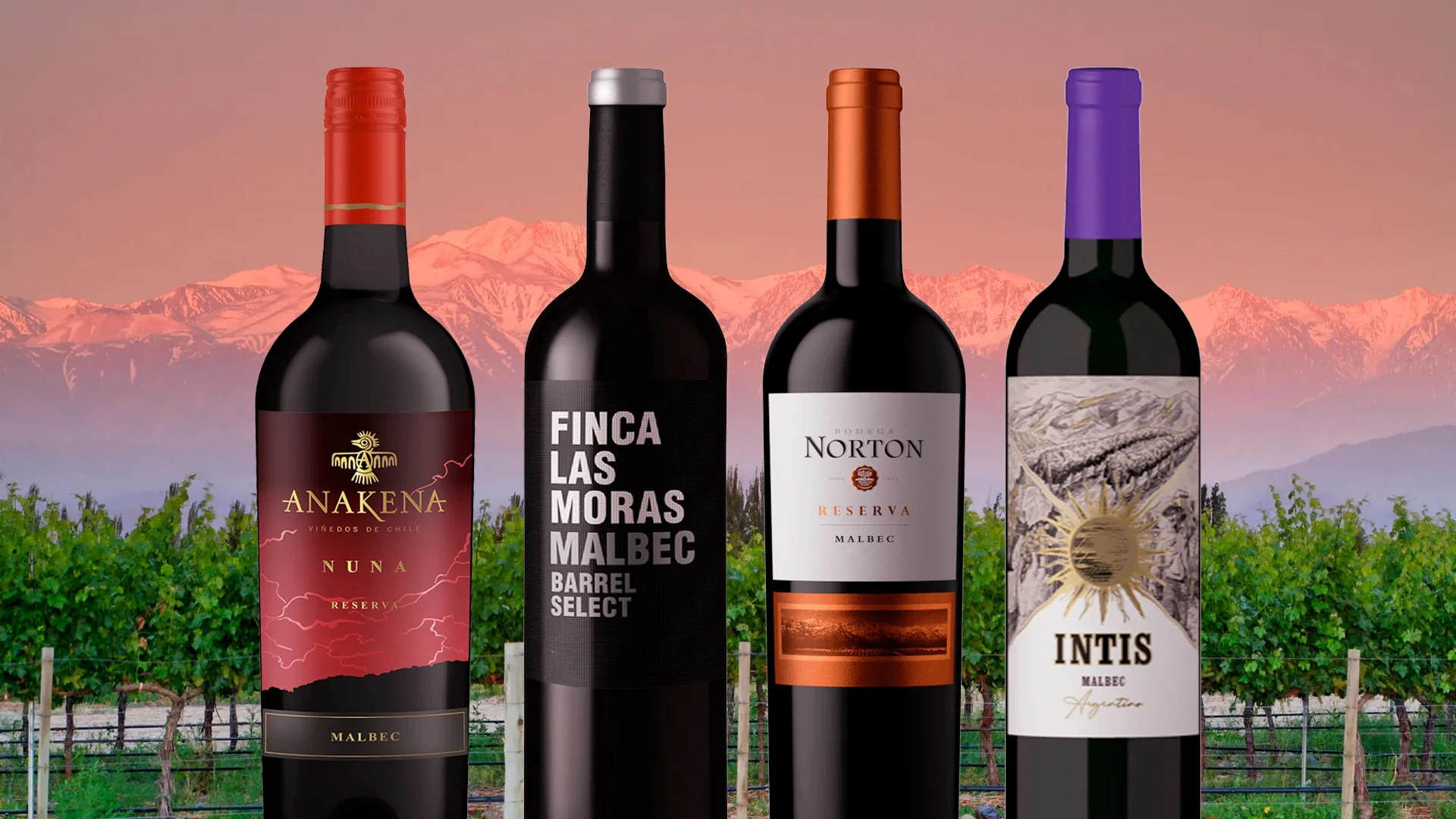¿El vino es la tarjeta de presentación de nuestro país?